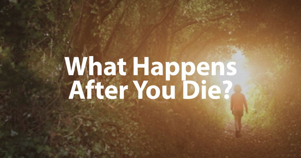 What Happens After You Die Child in Tree Tunnel