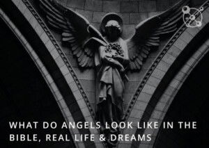 What Do Angels Look Like?